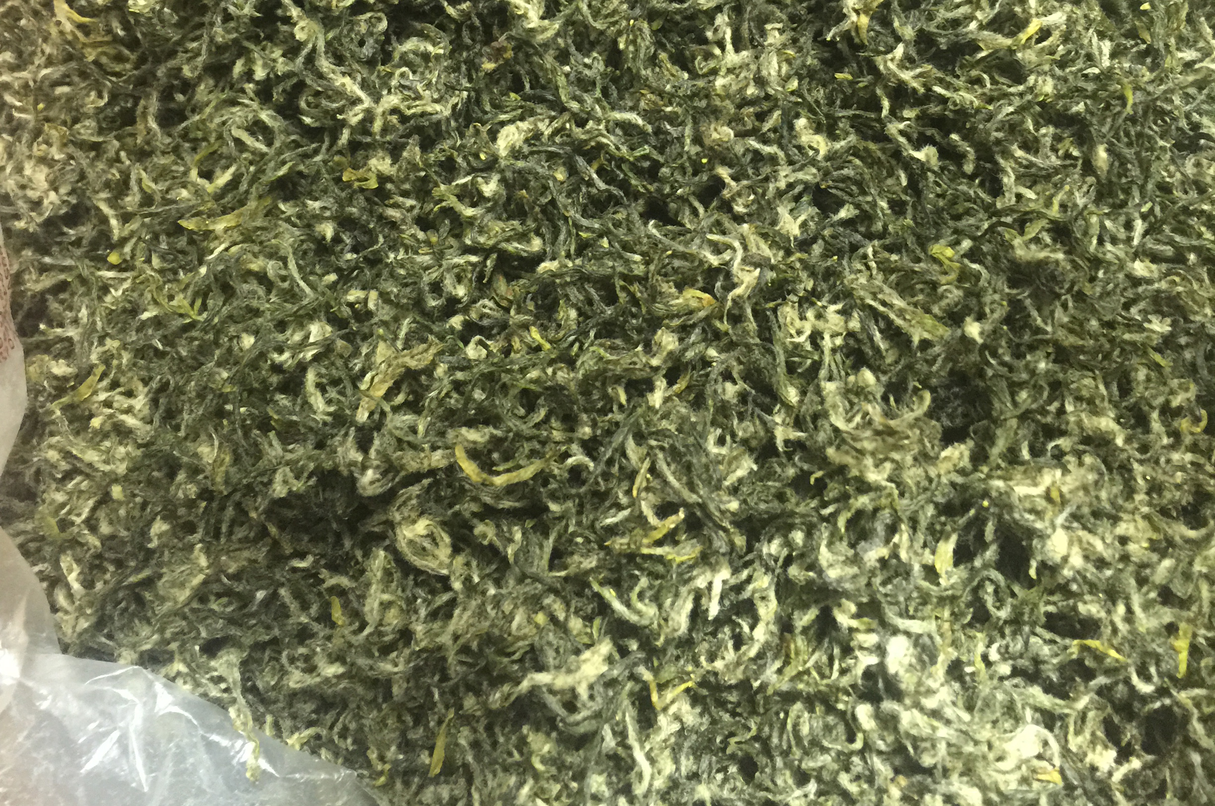 明后碧螺春外观
